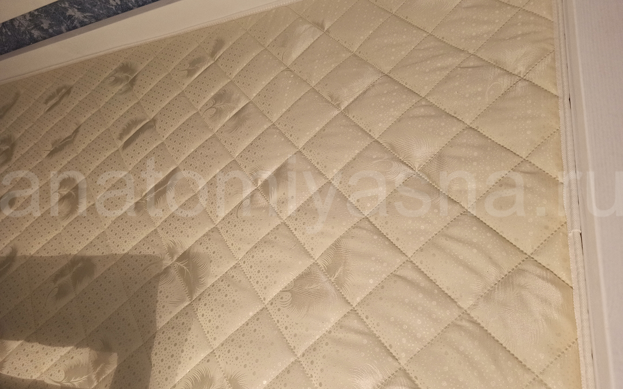 отзыв о Матрас DreamLine Easy Feel BS